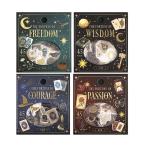 BGM прозрачный наклейка four tune . вдавлено . хлопья наклейка все 4 вид 