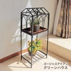 ショッピングテラリウム ゴージャスアイアン グリーンハウス レイズドベッド グリーンハウス 小型 温室 園芸ラック テラリウム
