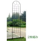 アイアンフェンス クラシックハイフェンス Lサイズ 220cm 2枚