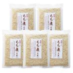 ショッピングもち麦 国産 もち麦 (大麦) 200g×5袋セット [オノシン]