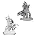 Pathfinder Deep Cuts Unpainted Miniatures: Wave 6: Female Knights / Gray Ma