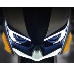 JING SHING 6 type Cygnus grif .sCYGNUS GRYPHUS передняя фара нижний "губа" белый 