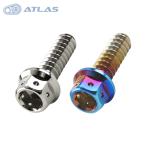 *Star Bolt CNC обработка Hexagon head таппинг винт M6×20mm SUS 1 шт. 