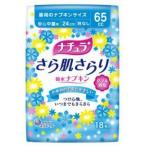 大王製紙 ナチュラ さら肌さらり 吸水ナプキン 安心中量用 18枚入