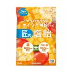 【送料無料・まとめ買い×20個セット】サラヤ 匠の塩飴 マンゴー味 100g