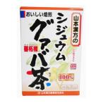 【送料無料】山本漢方製薬 山本漢