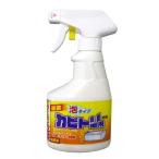 カビとりスプレー泡　３００ＭＬ（4903367301499）