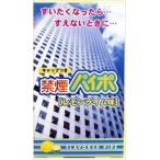 ライテック 禁煙パイポ　レモンライム味(3個)