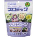 �ϥ��ݥͥå��� �ץ��ߥå������ꥹ�ޥ��������ѡ��������� (4977517008255)