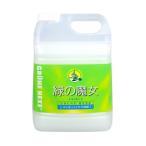 緑の魔女 キッチン業務用 5L (食器用洗剤) 弱酸性 (4902875981124) ×3点セット