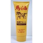 ジュン・コスメティック　馬油　洗顔フォームＮ １２０Ｇ（4964653102206） ×10点セット (まとめ買い価格！)
