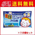 小林製薬 熱さまひんやり やわらかアイス枕 (4987072003947)×10点セット 【まとめ買い特価!】