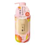 (送料無料・まとめ買い×12個セット)いち髪 濃密W保湿ケア シャンプー ポンプ 本体 ほろ甘いあんずと上品な桜三分咲きの香り 450mL