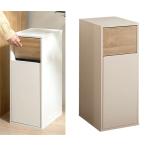 ショッピング分別 ゴミ箱 45リットル チェスト キャスター付き 分別 スリム おしゃれ バイカラー ホワイト グレージュ 北欧