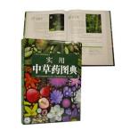 [ китайский язык упрощенные иероглифы ] практическое использование средний . лекарство map .