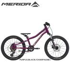 2025MERIDAメリダMATT...