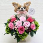 母の日ギフト プリザーブドフラワーアレンジ チワワC