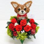 母の日ギフト プリザーブドフラワーアレンジ犬 チワワP