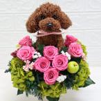 ショッピングプリザーブドフラワー トイプードルのプリザーブドフラワーアレンジML-Cute