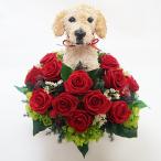 ラブラドール犬のプリザーブドフラワーギフト