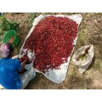 Yahoo! Yahoo!ショッピング(ヤフー ショッピング)コーヒー豆　グァテマラ　レタナレッドブルボン　500ｇ