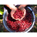 Yahoo! Yahoo!ショッピング(ヤフー ショッピング)あつみセレクトご自宅用3000