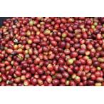 Yahoo! Yahoo!ショッピング(ヤフー ショッピング)コーヒー豆　インドネシア　アチェ（マンデリン）（中煎り）300ｇ