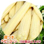 50本以上入り 「朝採りベビーコーン」 皮付き 山梨県産 ヤングコーン とうもろこし