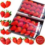  осталось . пестициды 0 [ клубника набор 2 упаковка ввод ] ребенок тоже безопасность безопасность .....( иллюзия. ...) глава ...... клетка . ваш заказ комплект 