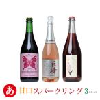 送料無料「甘口スパークリング3本セ...