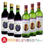 送料無料 「 無添加 初しぼり 飲み