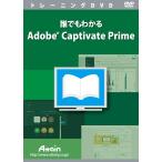  каждый понимать Adobe Captivate Prime