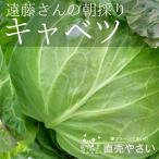  капуста 5 шар . глициния san. утро .. зима овощи Niigata префектура ... производство 