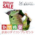  снег. внизу капуста 3 шар бесплатная доставка сельское хозяйство дом прямая поставка . зима овощи Niigata префектура ... производство 