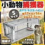 捕獲器 小動物 アニマルトラップ イタチ 駆除  動物 ねずみ 罠 捕獲 トラップ 鼠 保護 庭 畑 餌 屋根裏 農業 家庭菜園 農作物 踏板式