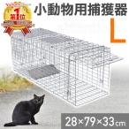 猫-商品画像