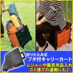 キャリーカート 折りたたみ 軽量 アウトドア 台車 ハンドキャリー ガーデニング カート キャリー ショッピング ワゴンカート キャンプ 工具 コロコロ