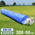  собака Agility тоннель Agility тренировка собака собака для тренировка собака Agility тренировка движение домашнее животное Agility Agility тоннель course машина b