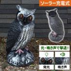 鳥よけ グッズ フクロウ ベランダ 