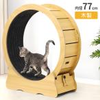  cat wheel cheap cat wheel lifting block quiet sound noise none motion goods cat for pets cat for room Runner motion shortage prevention goods hamster wheel toy 