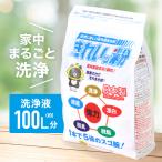 きれいッ粉 1kg 多用途洗浄剤 きれい