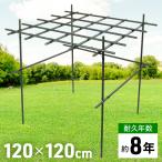  пергола фрукты пергола ширина 120cm сад пергола сад арка глициния фруктовое дерево полки садовая мебель материал крыша фрукты полки киви полки виноград полки 