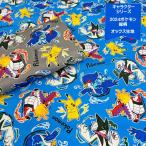 キャラクターオックス生地/2024ポケットモンスター総柄の生地/2024ポケモンシリーズ/入園入学/2024ポケモン柄/N25