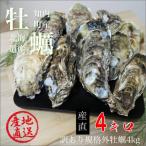 ショッピング牡蠣 牡蠣 生食用 殻付き牡蠣 4kg 北海道 知内産 規格外 ハネ牡蠣 生牡蠣 殻付き 生食 訳あり 各サイズ混入 生食用 安心の検査済み