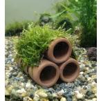 [ нет пестициды ] Willow Moss house 3 часть магазин ( земля труба модель )