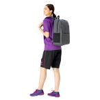 [Nittaku]nitak настольный теннис сумка Tanto Day Pack (NK-7528)(72) серый [ посылать за товар ]