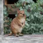 在庫処分 PET BANK QUOKKA クウォッカの