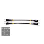 AIRBOW - Copper-Jumper/VT( 2 шт )( обе край 8mmY штекер )