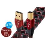 audioquest - USB2 CINNAMON/0.75m(USB2/CIN/0.75)(USB2.0*A-B)[ наличие есть немедленная уплата ]