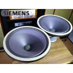 SIEMENS C72233-A22-A1 15 -inch oiro Dine installing VACaru Nico subwoofer unit pair Audio Station